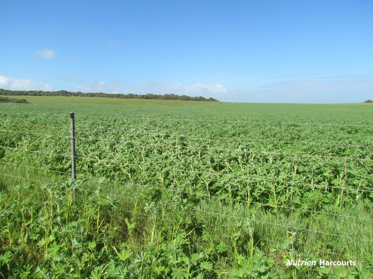 40 Matsen Road Dongara WA 6525 - Image 3