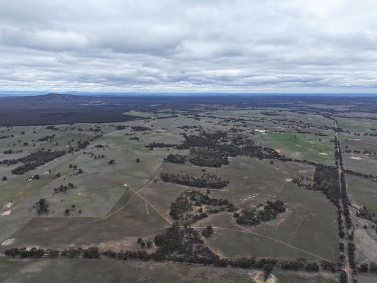 Click to view all images Lot 1 Rheola - Llanelly Road Murphys Creek VIC 3551 - Image 2