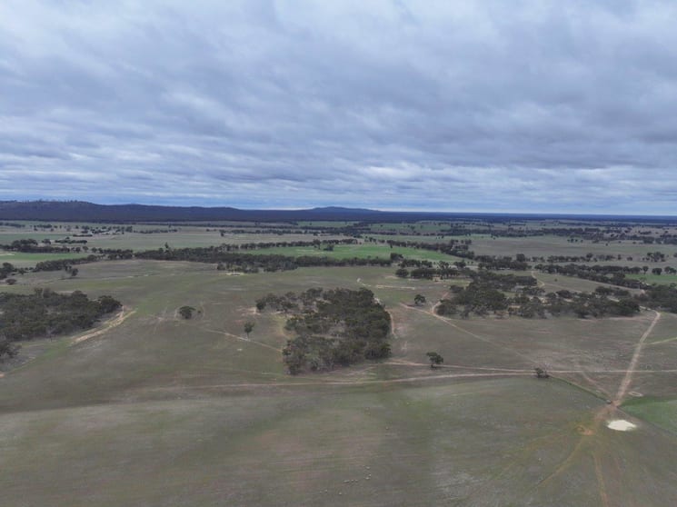 Click to view all images Lot 1 Rheola - Llanelly Road Murphys Creek VIC 3551 - Image 3