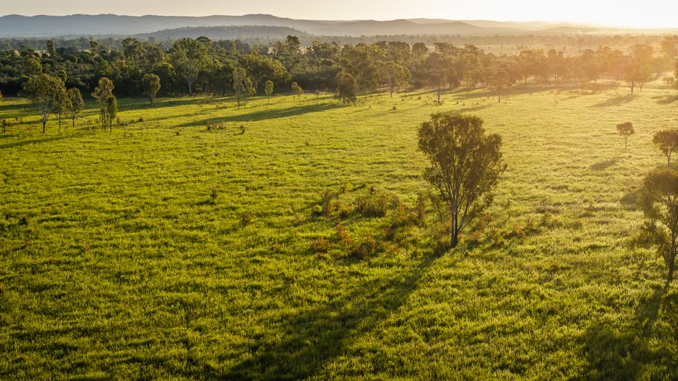 Click to view all images 170 Redbank Road Morinish QLD 4702 - Image 3
