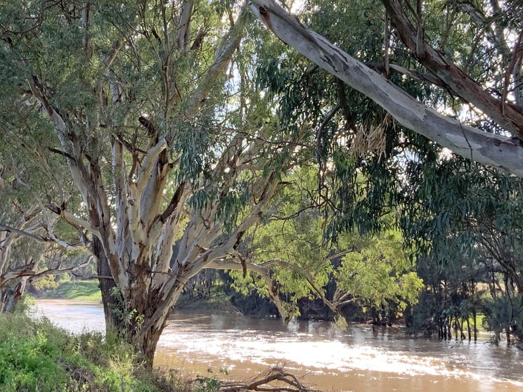 Click to view all images 18764 Kamilaroi Highway Narrabri NSW 2390 - Image 2
