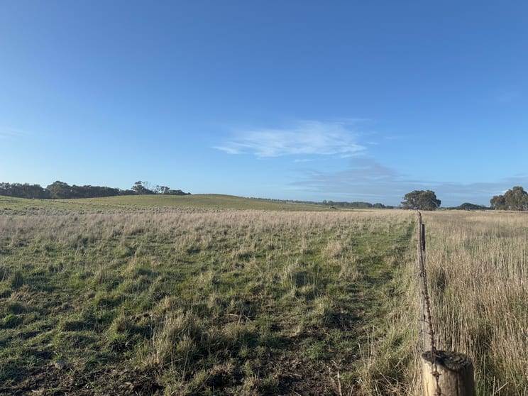 Click to view all images Lot 403 Riddoch Highway Wild Dog Valley SA 5271 - Image 2