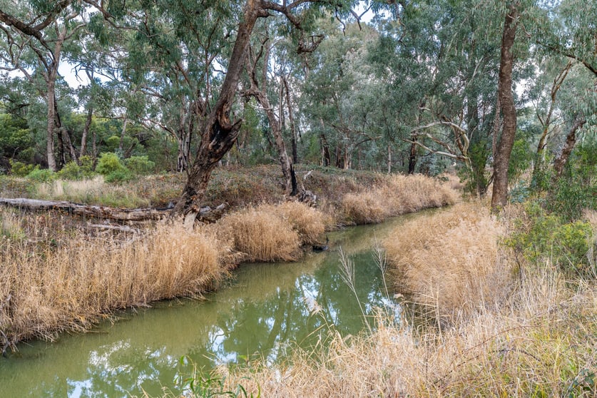 Click to view all images 1460 Baldry Road Baldry NSW 2867 - Image 1