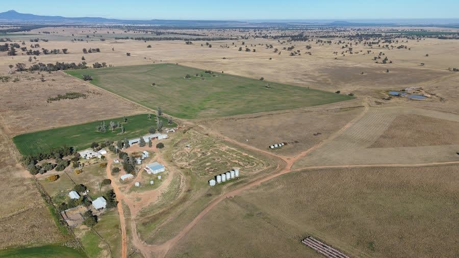 279 Hotchkiss Road Baradine NSW 2396 - Image 1