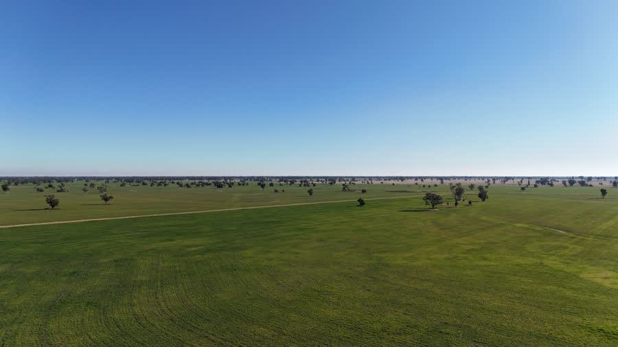 279 Hotchkiss Road Baradine NSW 2396 - Image 2