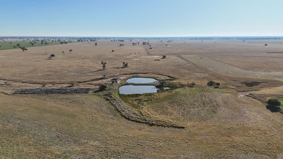 279 Hotchkiss Road Baradine NSW 2396 - Image 3