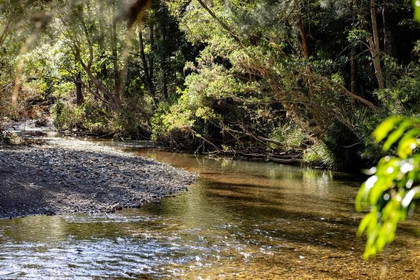 Click to view all images 132 Little Run Road Wherrol Flat NSW 2429 - Image 2