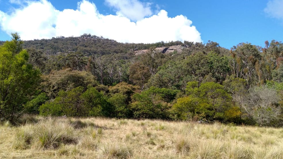 Lot 103 Brushabers Road Jennings NSW 4383 - Image 2