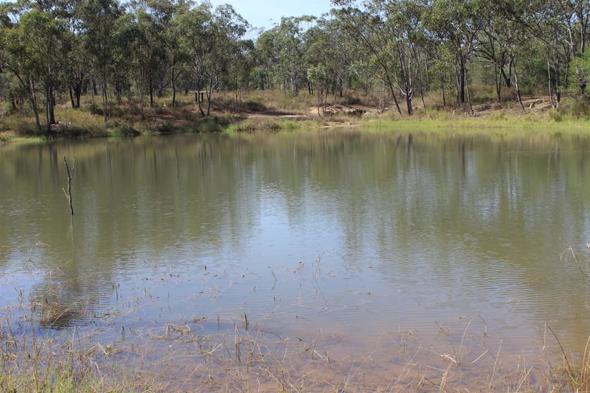 Click to view all images Gunnawarra QLD 4872 - Image 3