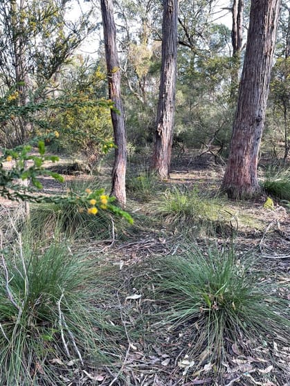 Click to view all images . South Gippsland Highway Woodside VIC 3874 - Image 3