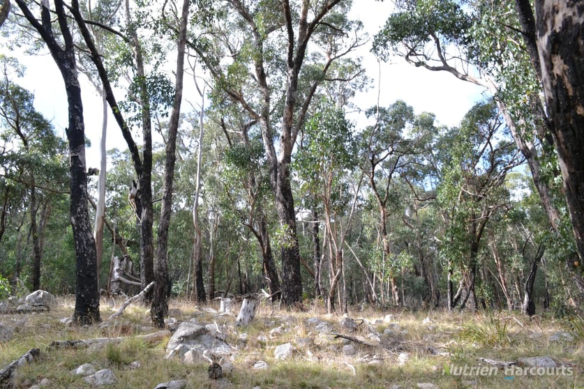 . Youngs Road Baynton VIC 3444 - Image 1