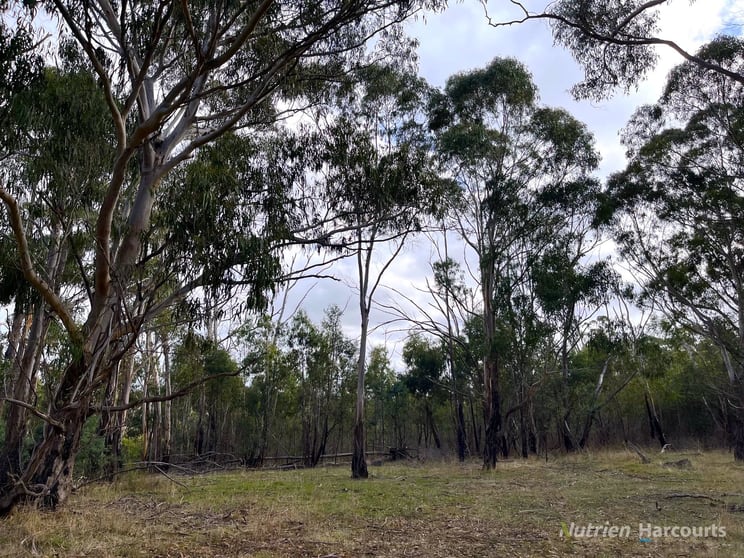 . Youngs Road Baynton VIC 3444 - Image 2