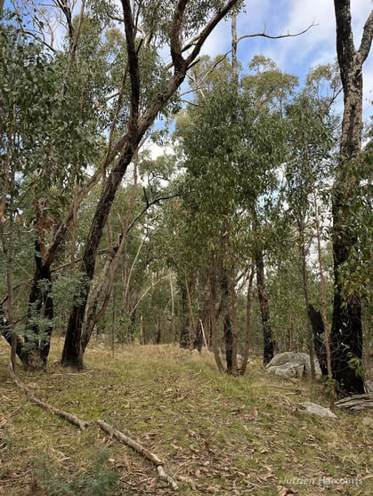 . Youngs Road Baynton VIC 3444 - Image 3
