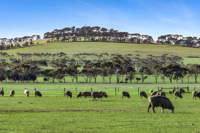 Click to view all images 2125 Barrabool Road Mount Moriac VIC 3240 - Image 2