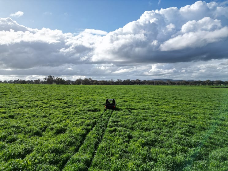 Click to view all images 'Willowbank' Urana Road Jindera NSW 2642 - Image 1