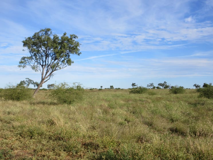 Click to view all images 715 Royston Lane Longreach QLD 4730 - Image 1