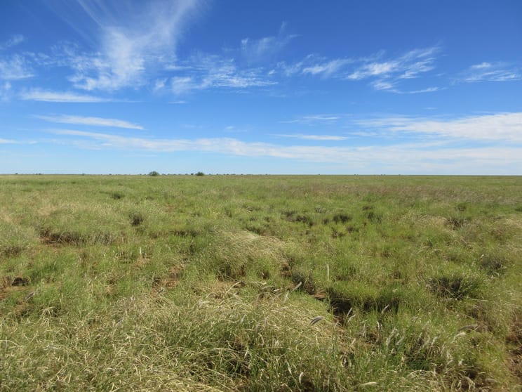 Click to view all images 715 Royston Lane Longreach QLD 4730 - Image 2