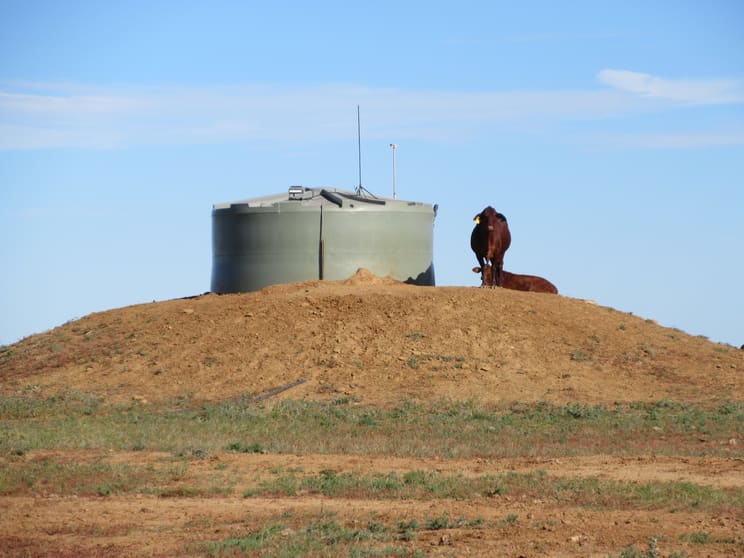Click to view all images 715 Royston Lane Longreach QLD 4730 - Image 3