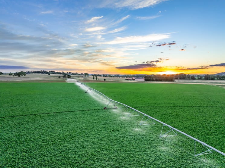 Click to view all images 349 Nangar Road Canowindra NSW 2804 - Image 1