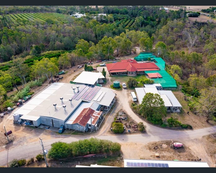 Click to view all images 22 LEONARDI ROAD Mareeba QLD 4880 - Image 3