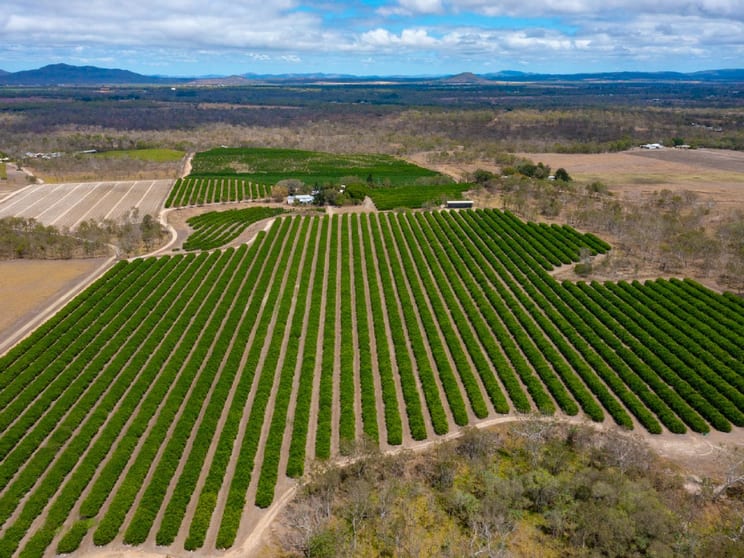 Click to view all images 22 LEONARDI ROAD Mareeba QLD 4880 - Image 1