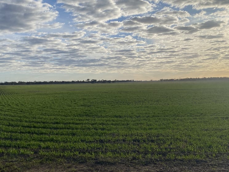 Click to view all images Stawell-Warracknabeal Road Minyip VIC 3392 - Image 2