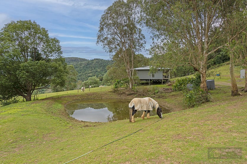 Click to view all images 43 Rowe Lane Cedar Creek QLD 4207 - Image 2