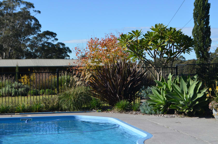 1467 Old Maitland Road Sawyers Gully NSW 2326 - Image 3