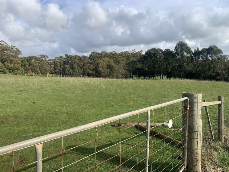 0 Studderds Road Moorleah TAS 7325 - Image 3