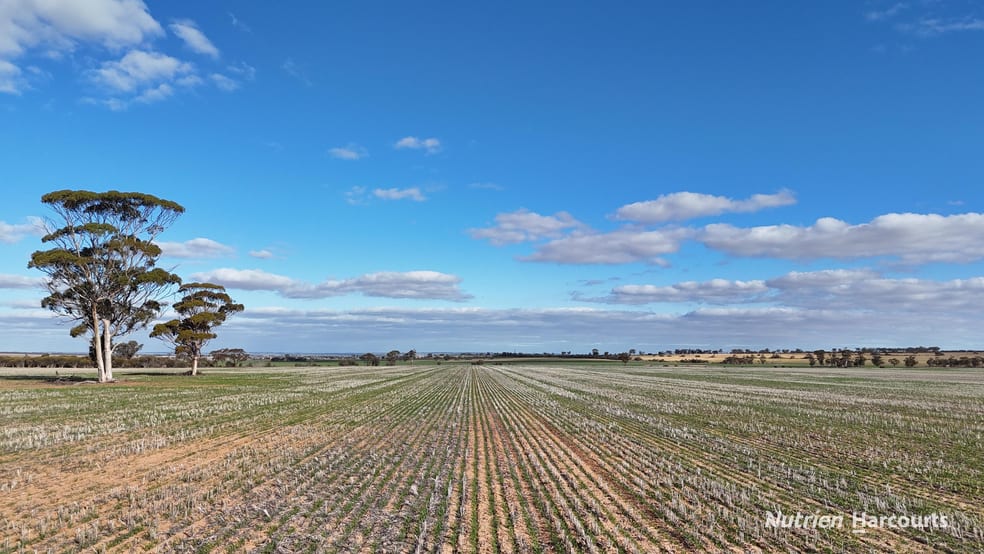 Lot 20259 Elabbin East Road Talgomine WA 6490 - Image 3