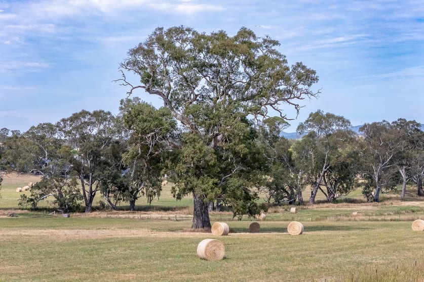 Lot 20 & 21 Newman Road Charleston SA 5244 - Image 3