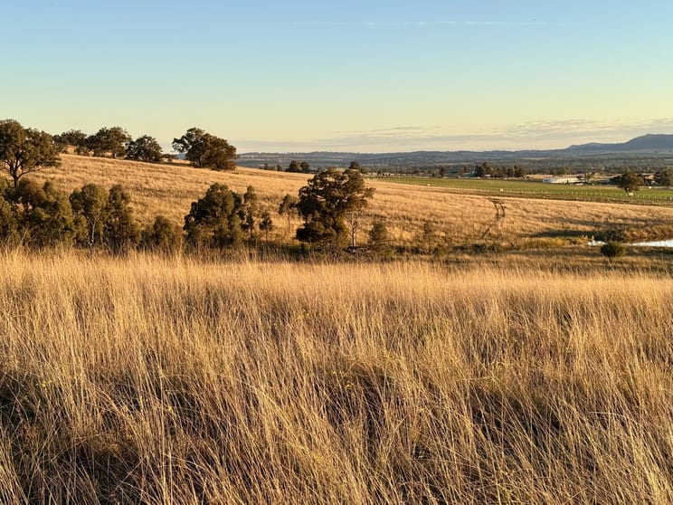 "Sirius" East Turanville Road Scone NSW 2337 - Image 3