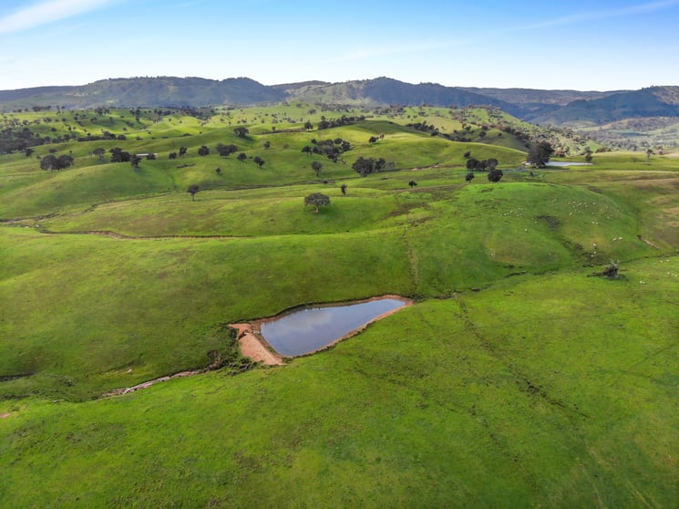 1072 Wee Jasper Road Tumut NSW 2720 - Image 3