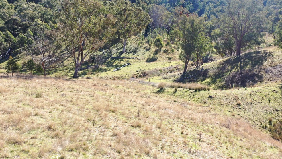 Click to view all images 1022 Danglemah Road Limbri NSW 2352 - Image 2