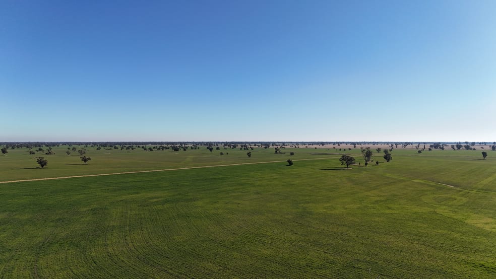 279 Hotchkiss Road Baradine NSW 2396 - Image 1