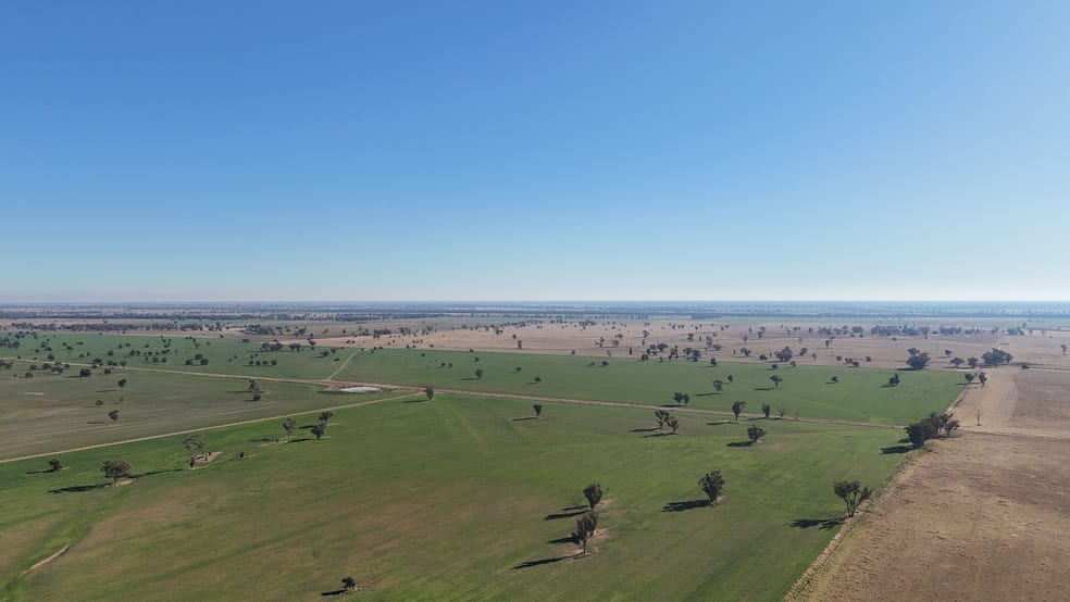 279 Hotchkiss Road Baradine NSW 2396 - Image 3