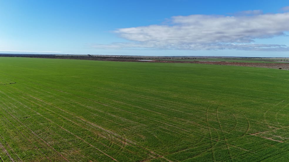697 Solomon Road Perenjori WA 6620 - Image 2