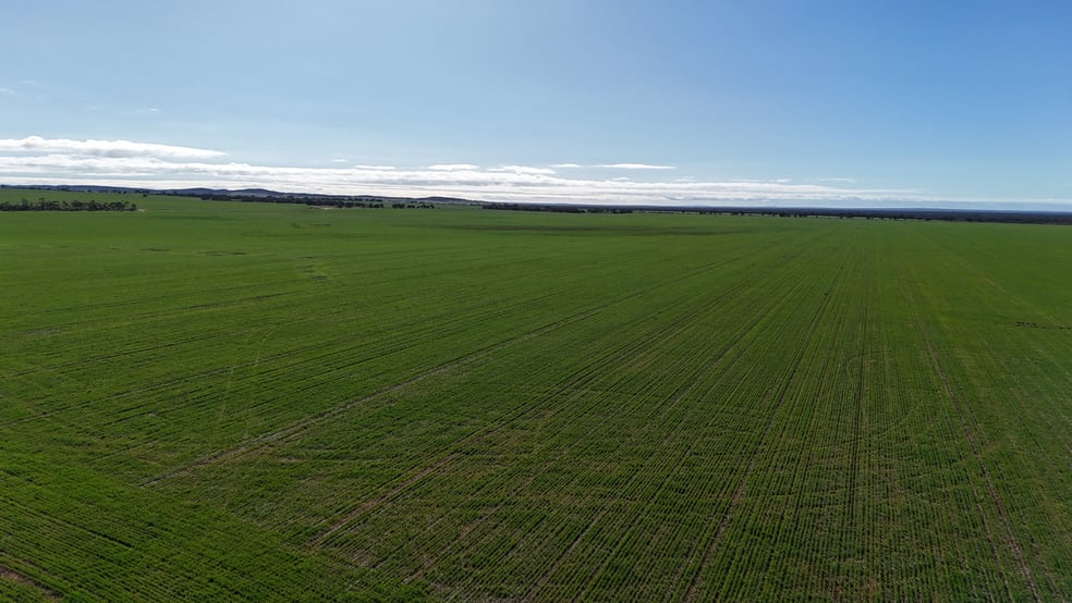 697 Solomon Road Perenjori WA 6620 - Image 3