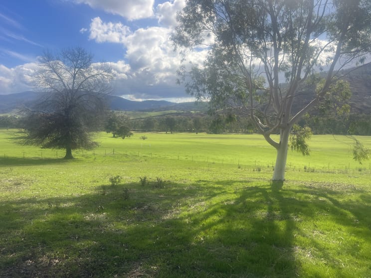 Click to view all images 8243 Murray River Road Walwa VIC 3709 - Image 2