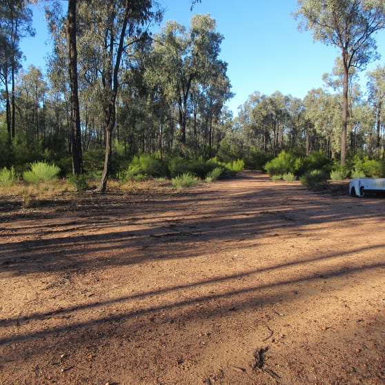 Click to view all images Tara QLD 4421 - Image 3