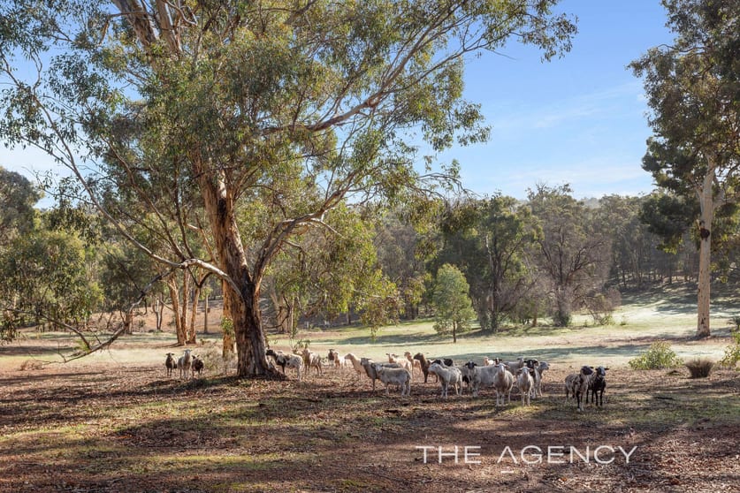 Click to view all images 2360 Burma Road Bailup WA 6082 - Image 2