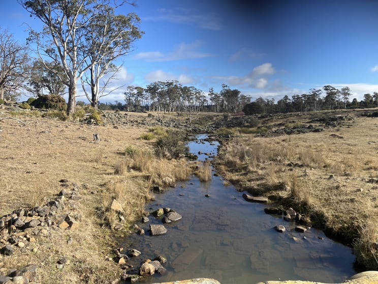 Click to view all images 1561 Dennistoun Road Bothwell TAS 7030 - Image 2