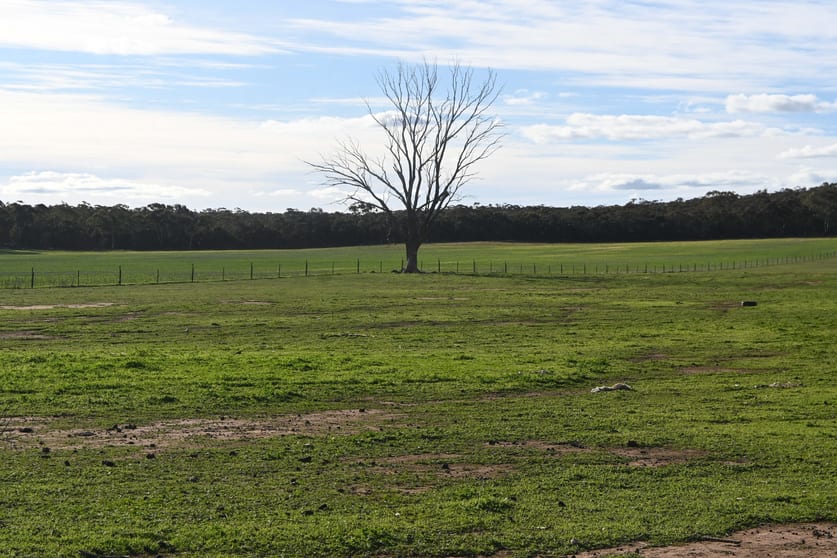 Click to view all images CA, 79 Woolshed Flat Road Woolshed Flat VIC 3518 - Image 2