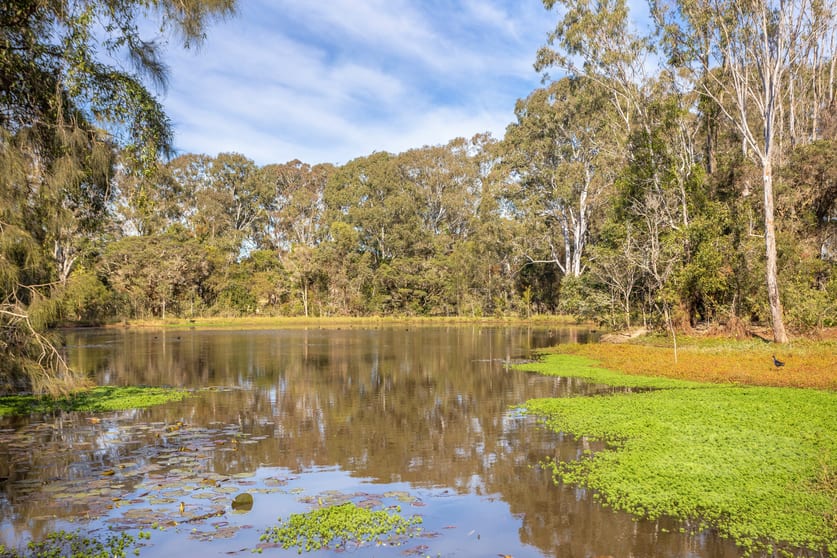 Click to view all images 97 Glenthorne Road Glenthorne NSW 2430 - Image 1