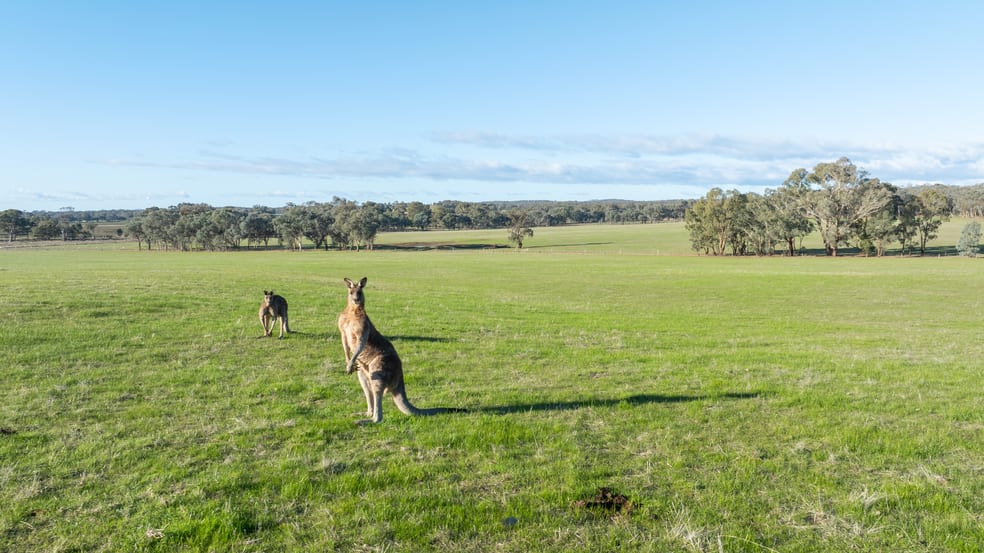 Click to view all images . Marengos Road Cornishtown VIC 3683 - Image 2