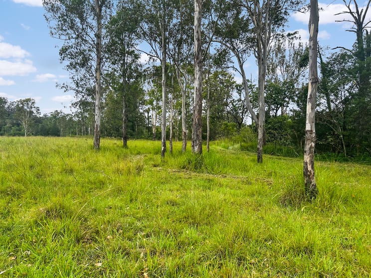 Click to view all images Lot 12 Busbys Flat Road Busbys Flat NSW 2469 - Image 2