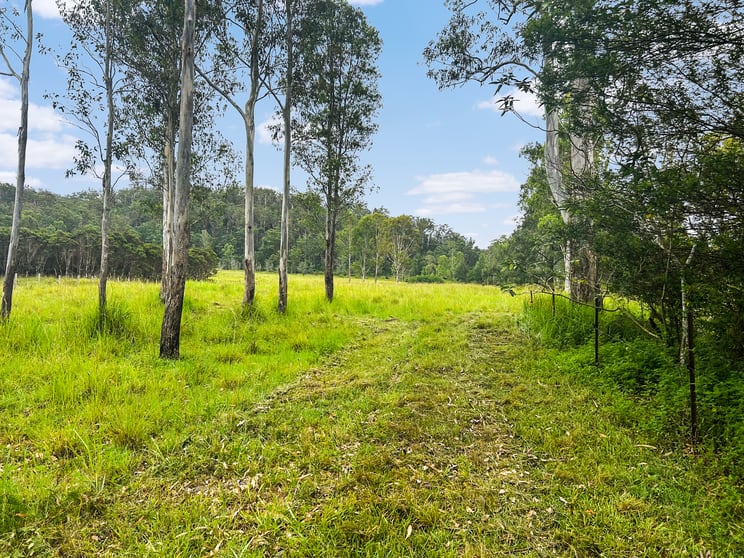 Click to view all images Lot 12 Busbys Flat Road Busbys Flat NSW 2469 - Image 3