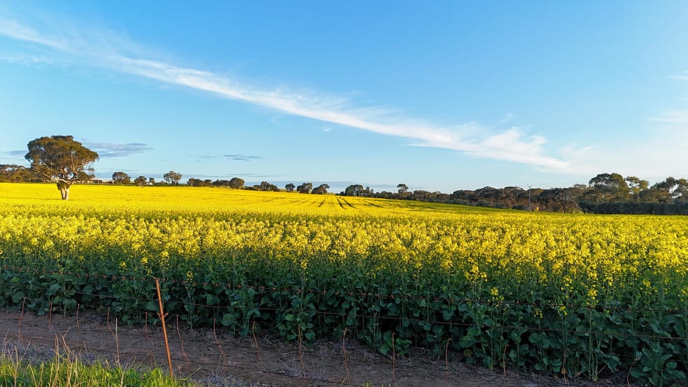 34 Bletchley Road Strathalbyn SA 5255 - Image 3