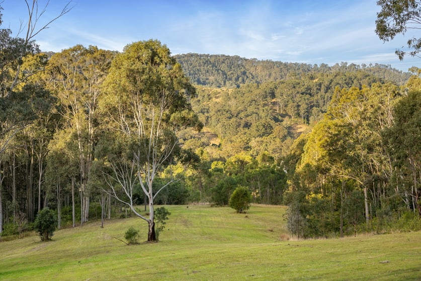 Click to view all images 98 Parishs Road Dungog NSW 2420 - Image 2