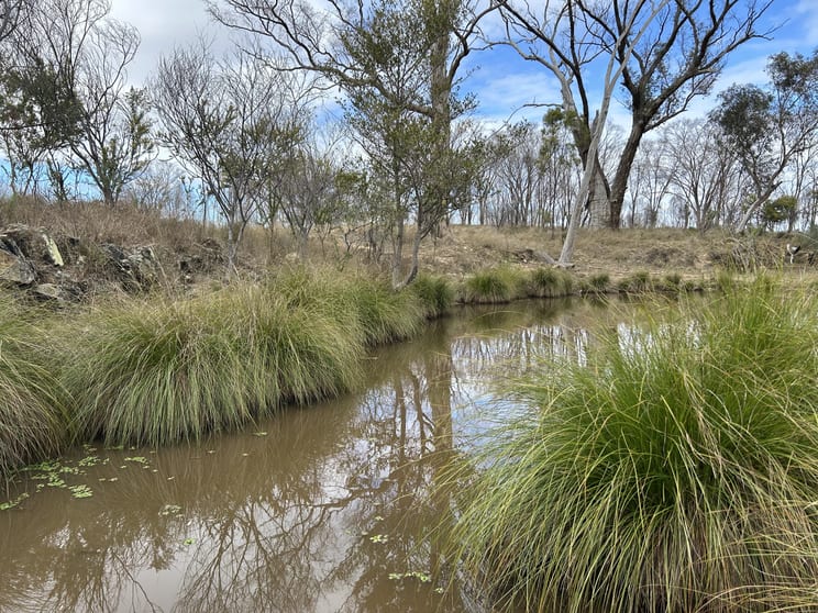 Click to view all images 2939 Mosquito Creek Road Mosquito Creek QLD 4387 - Image 1